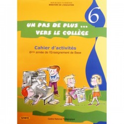 Cahier d'activités 6B